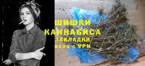 хмурый Алзамай