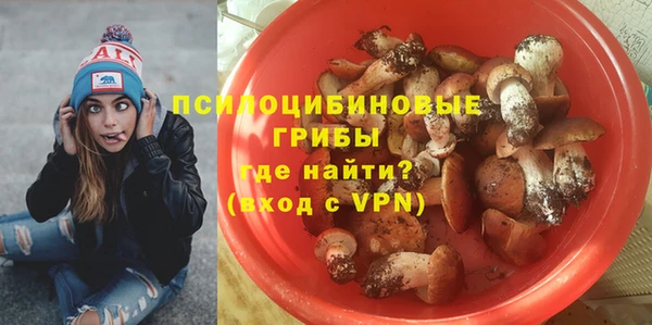 спайс Алексин