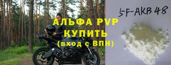 хмурый Алзамай