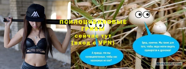 спайс Алексин