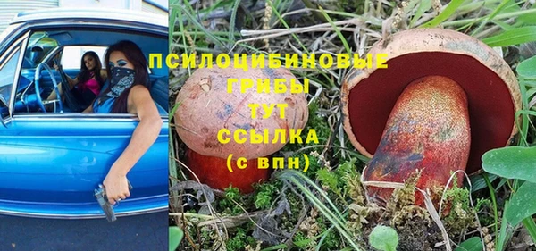 хмурый Алзамай