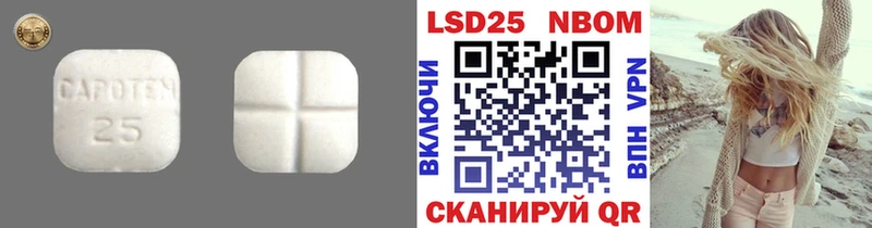 ЛСД экстази кислота  hydra рабочий сайт  Куртамыш  купить  