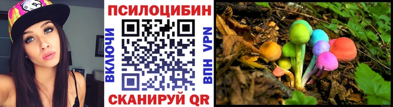 Псилоцибиновые грибы Psilocybine cubensis  закладка  Куртамыш 